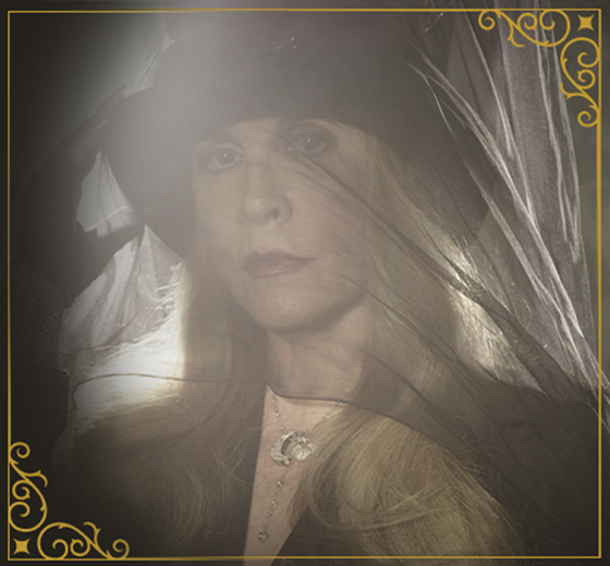 More Info for Stevie Nicks